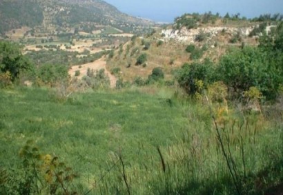 Lysos, Polis Agricultural Land For Sale | C8289
