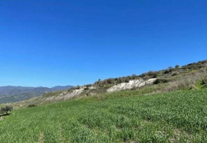 Fyti, Polis Agricultural Land For Sale | C8513