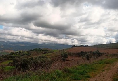 Simou, Polis Agricultural Land For Sale | C8520