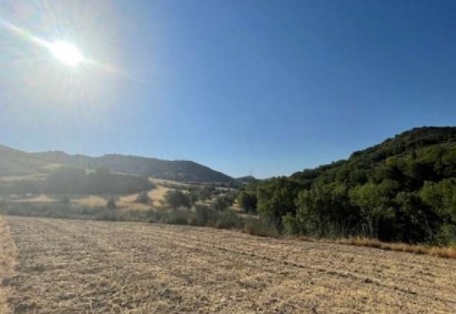 Giolou, Polis Agricultural Land For Sale | C8522