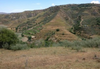 Giolou, Polis Agricultural Land For Sale | C8523