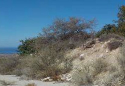 Peristerona Pafou, Polis Residential Land For Sale | BK9044