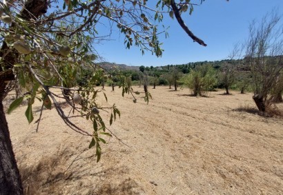 Giolou, Polis Residential Land For Sale | BK9052