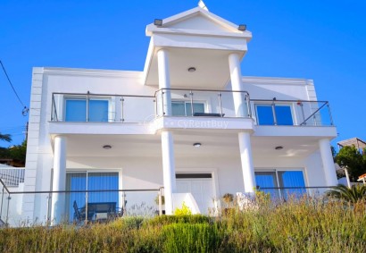 Tala, Paphos Detached Villa For Sale | BK8542