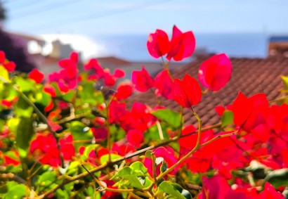 Kissonerga, Paphos Detached Villa For Sale | BK10381