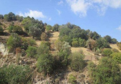 Kallepeia, Paphos Agricultural Land For Sale | C11057