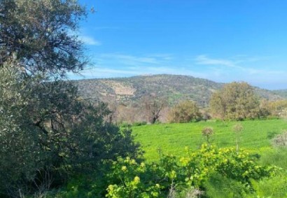 Peristerona Pafou Agricultural Land For Sale | C11228