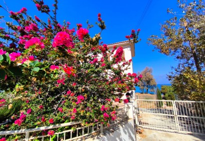 Polis Chrysochous, Polis Detached Villa For Rent | BKJ11232
