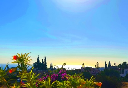 Pegeia, Paphos Detached Villa For Sale | C11734